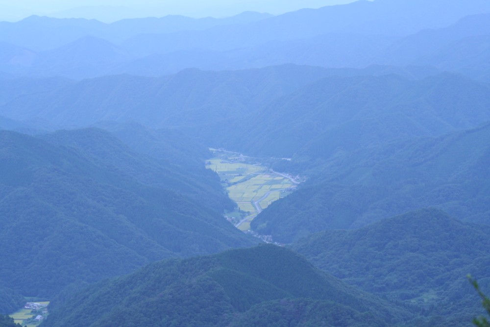 吾妻山の花_c0197220_728697.jpg