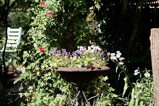 f0170524_11355959.jpg