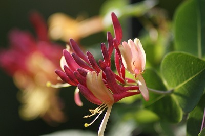 f0170524_11472010.jpg