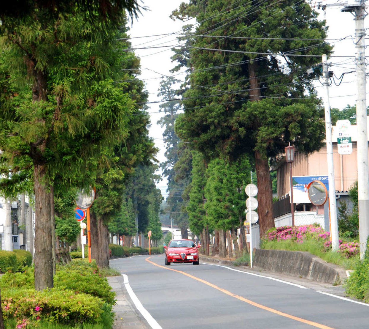 d0179225_20462542.jpg