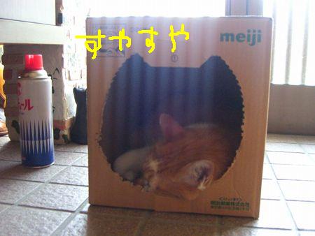 食欲の秋_a0099131_12301123.jpg