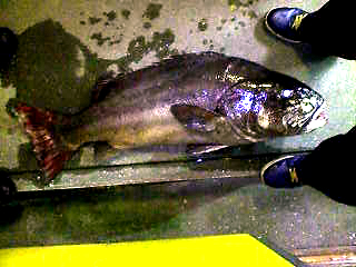 a0132631_215954100.jpg