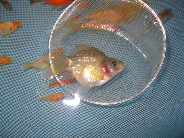 f0214235_01512.jpg