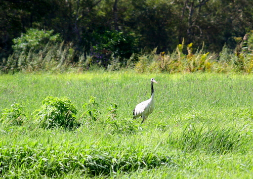 f0113639_163118100.jpg
