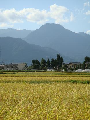 a0014840_22441795.jpg