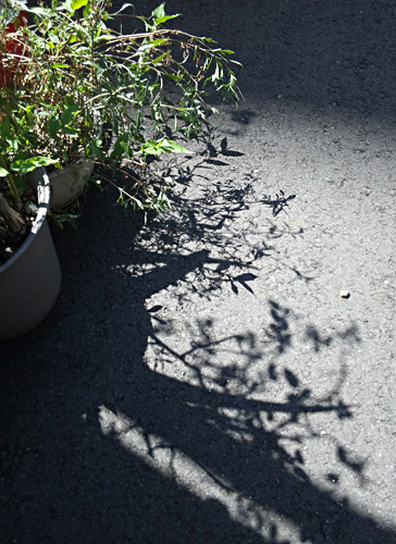 e0039640_10544073.jpg