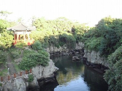 a0137242_20241792.jpg