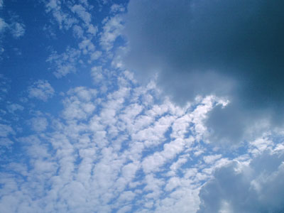 b0195242_209145.jpg