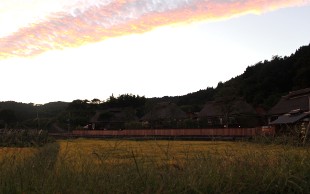 f0219754_2044786.jpg