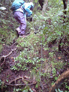 b0061863_2157492.jpg