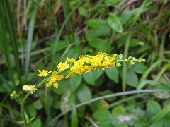 b0061863_2222262.jpg