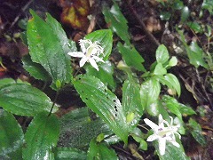 b0061863_22224324.jpg