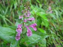 b0061863_2223785.jpg