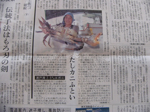 浦戸湾に潜む巨大エガニ 古いバイク陸王と 犬 浦戸湾に潜む巨大エガニ 古いバイク陸王と 犬