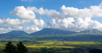 c0176366_93988.jpg
