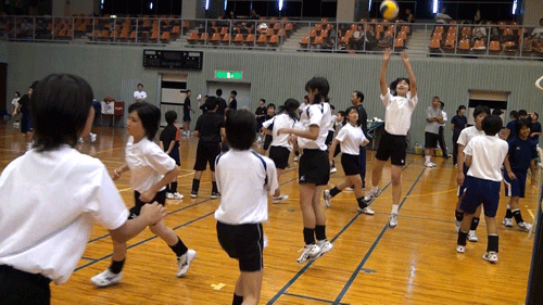 愛媛_c0000970_1022954.gif