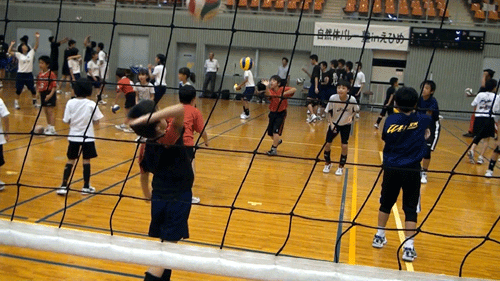 愛媛_c0000970_103154.gif
