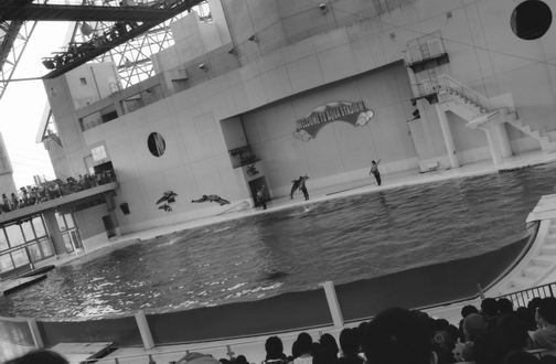c0124773_1372931.jpg