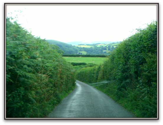 d0010182_40818.jpg