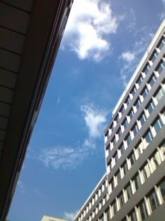 新しい空　新しい風_f0035387_902619.jpg