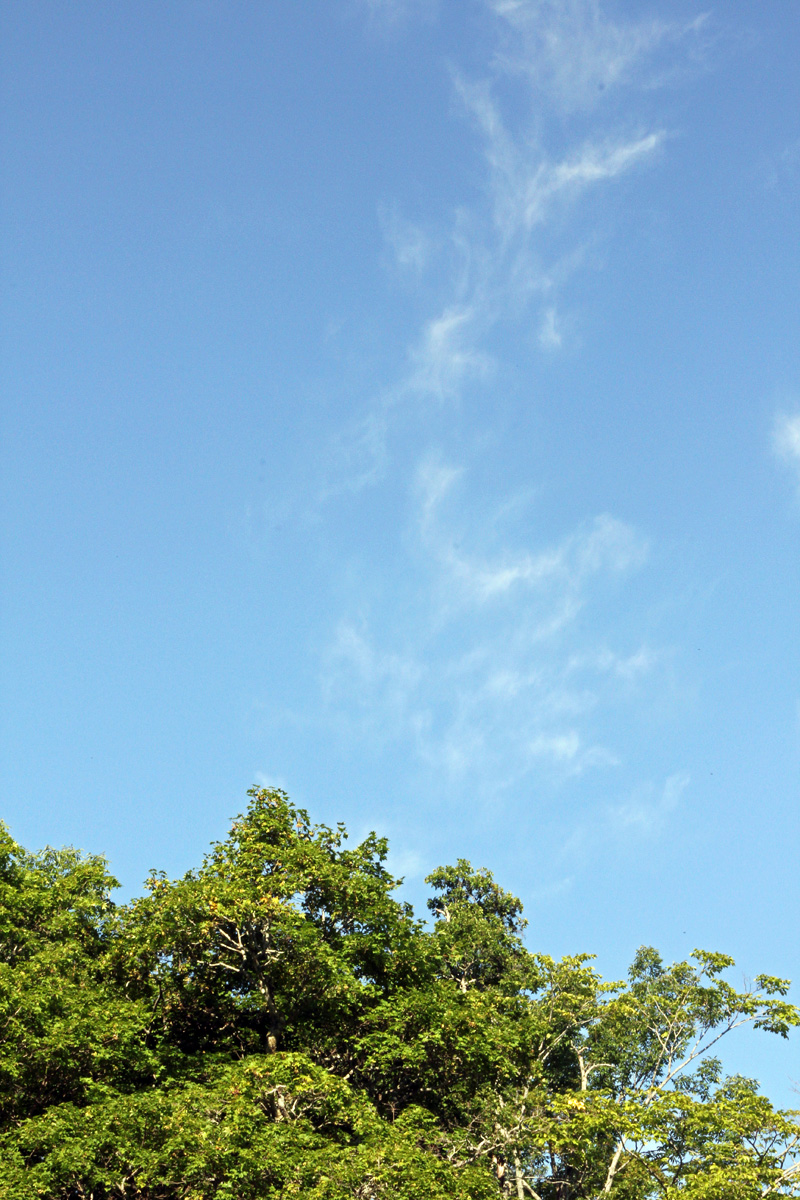 b0142688_1024226.jpg