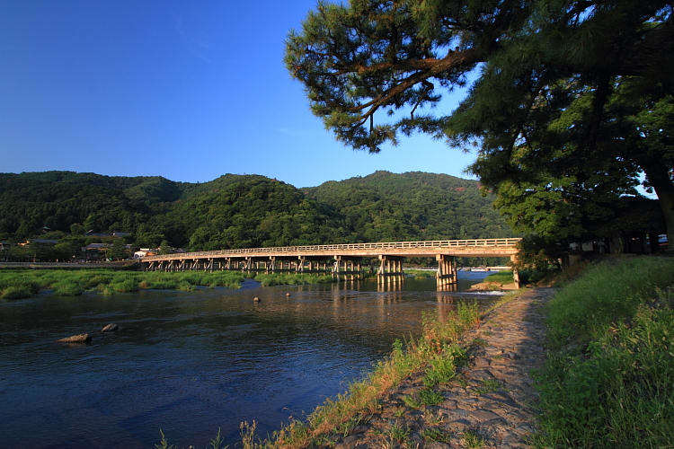 早朝の嵐山・嵯峨野_e0051888_22252170.jpg