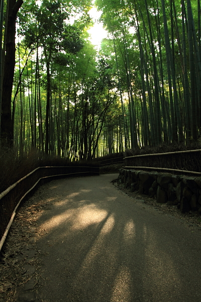 早朝の嵐山・嵯峨野_e0051888_22264240.jpg
