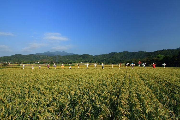 早朝の嵐山・嵯峨野_e0051888_22284315.jpg