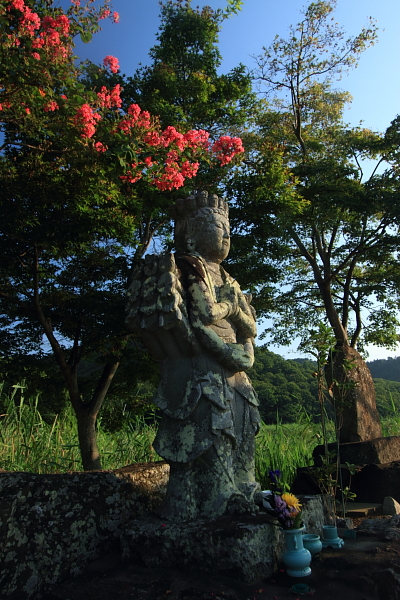 早朝の嵐山・嵯峨野_e0051888_22291518.jpg