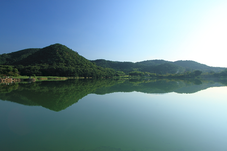 早朝の嵐山・嵯峨野_e0051888_22314212.jpg