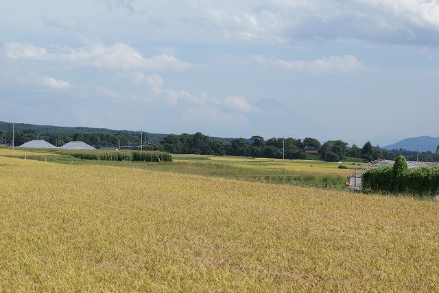 f0079289_23331925.jpg
