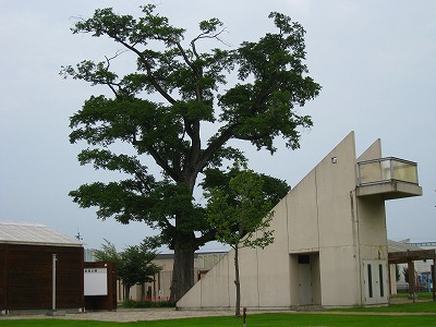 b0191190_22435823.jpg