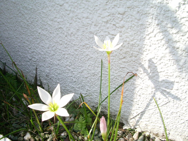e0025300_14392110.jpg