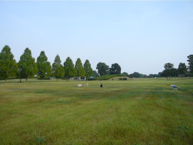 f0144103_94131.jpg
