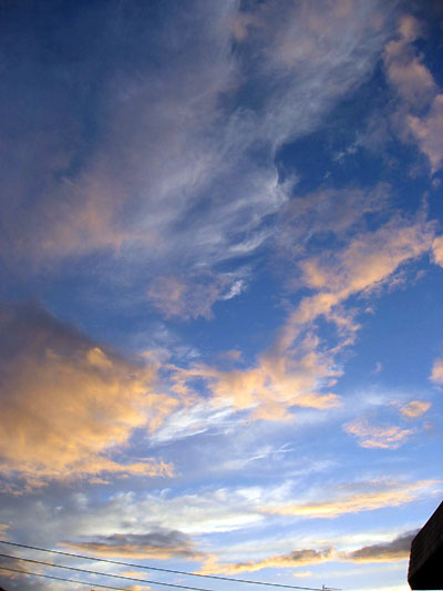 e0118904_220583.jpg