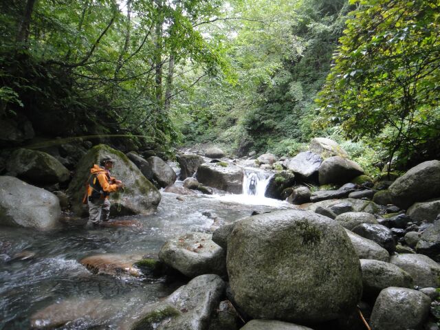b0172805_357360.jpg