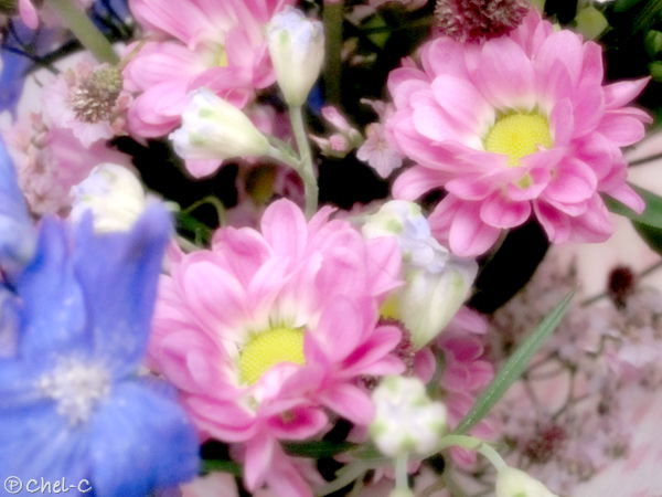 a0154706_18521185.jpg