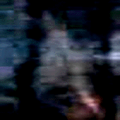 e0103408_13384370.gif