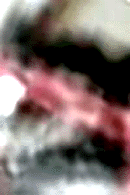e0103408_13452829.gif