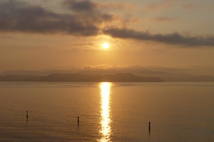 f0221708_14317.jpg