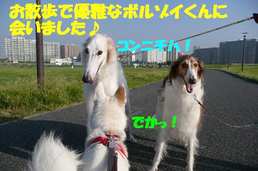f0121712_13465740.jpg