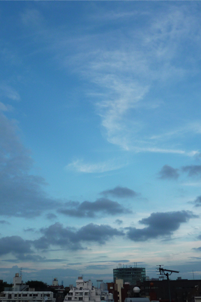 d0113613_1655924.jpg