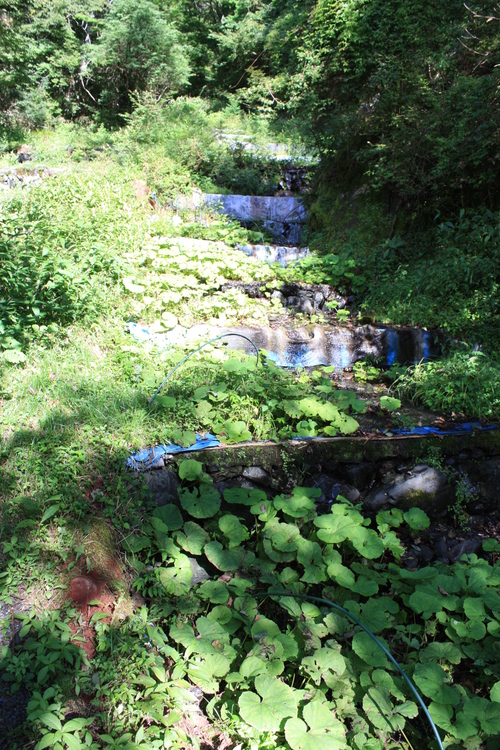 b0093515_7311830.jpg