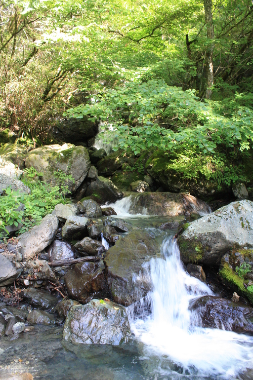 b0093515_733577.jpg