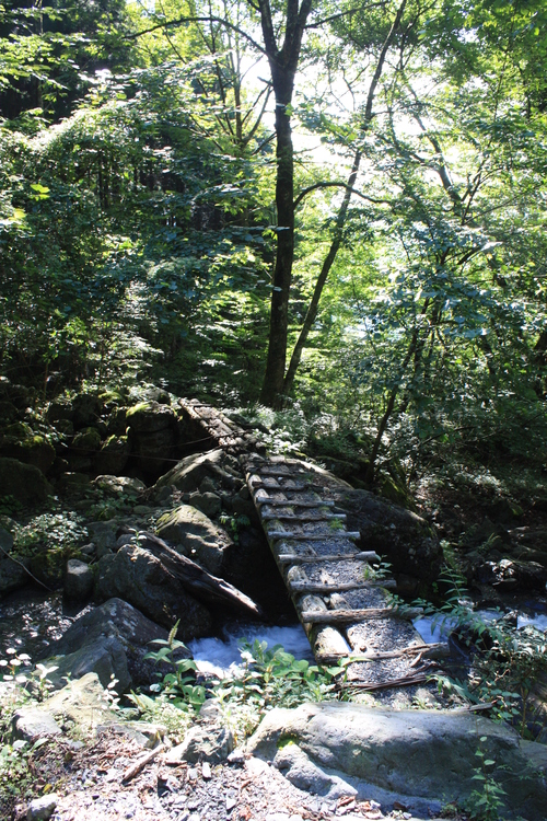 b0093515_7355920.jpg