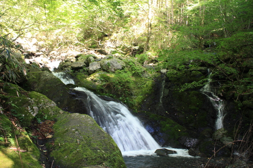 b0093515_748413.jpg