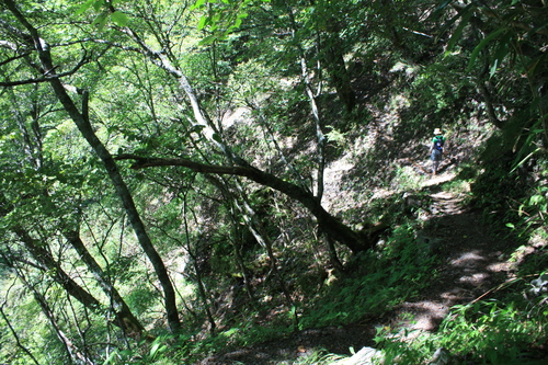 b0093515_805730.jpg