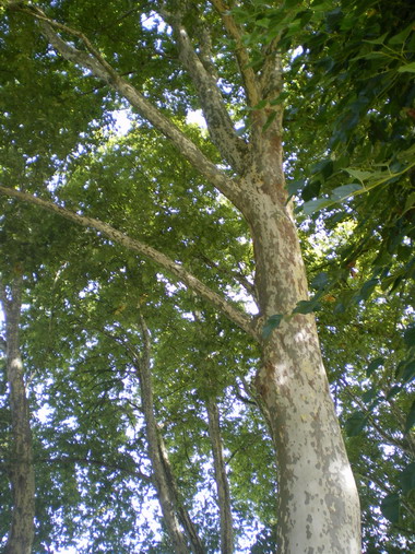 c0124619_2110414.jpg