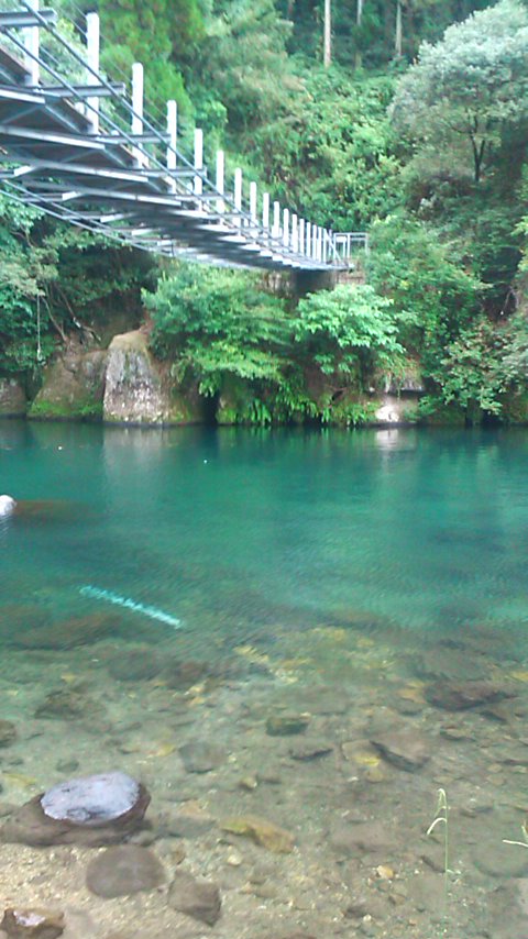 f0055423_2214418.jpg