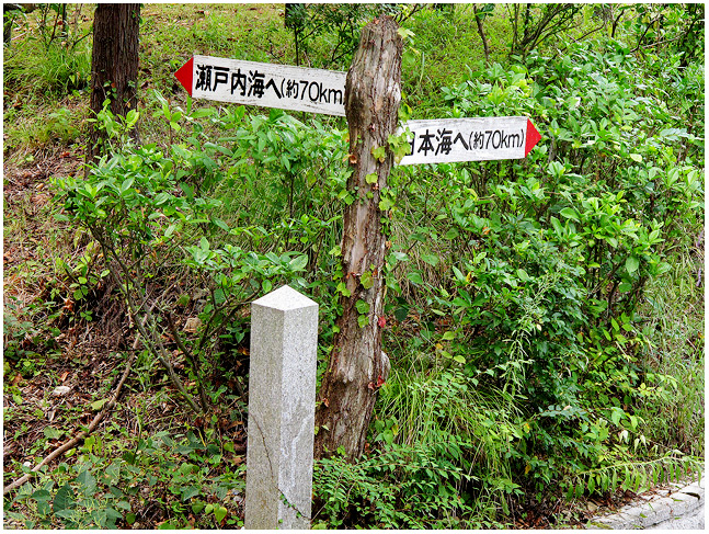 c0042324_9225088.jpg